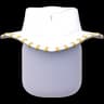 Robin's Hat